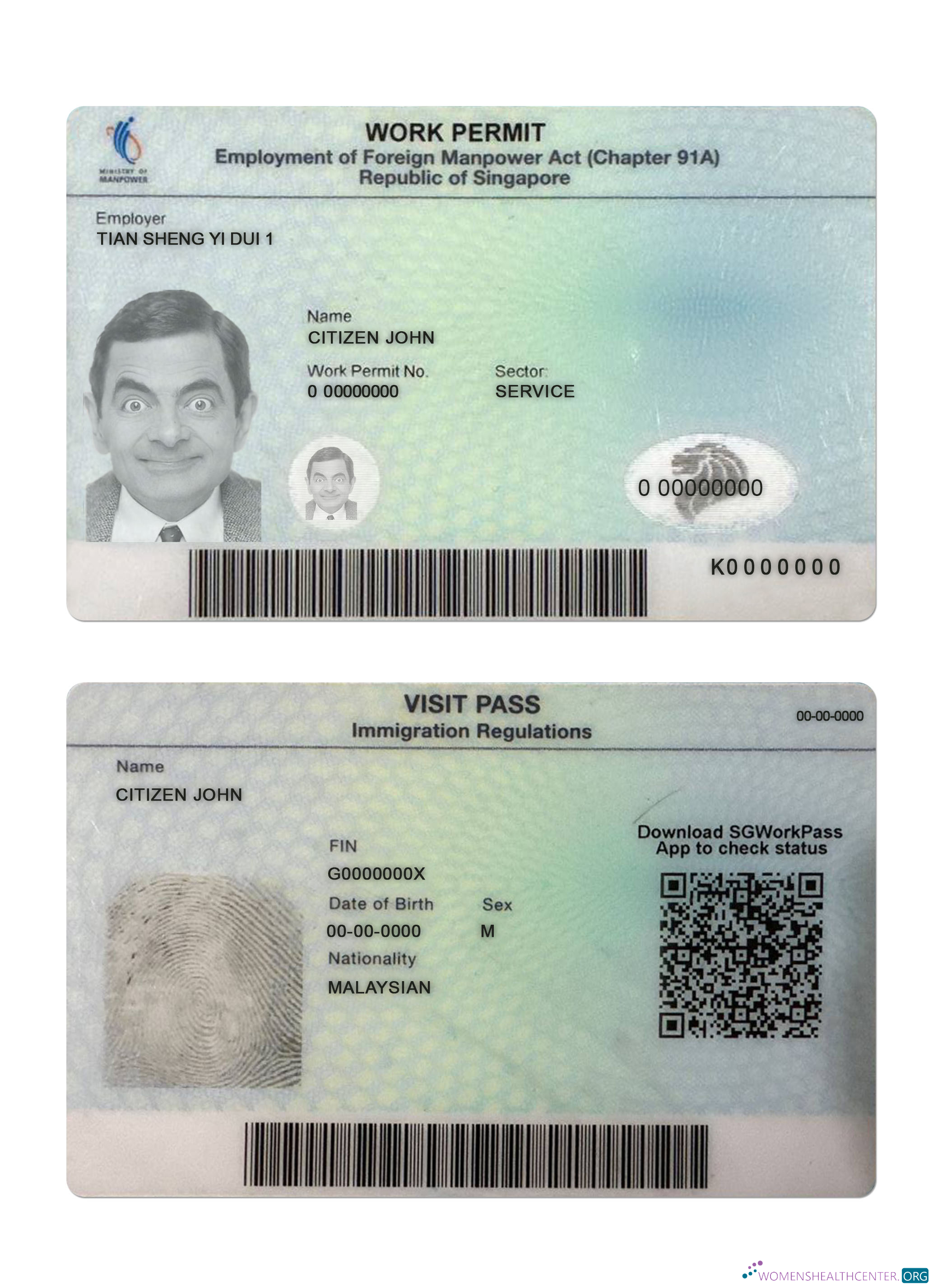 Download Singapore work permit Photoshop template